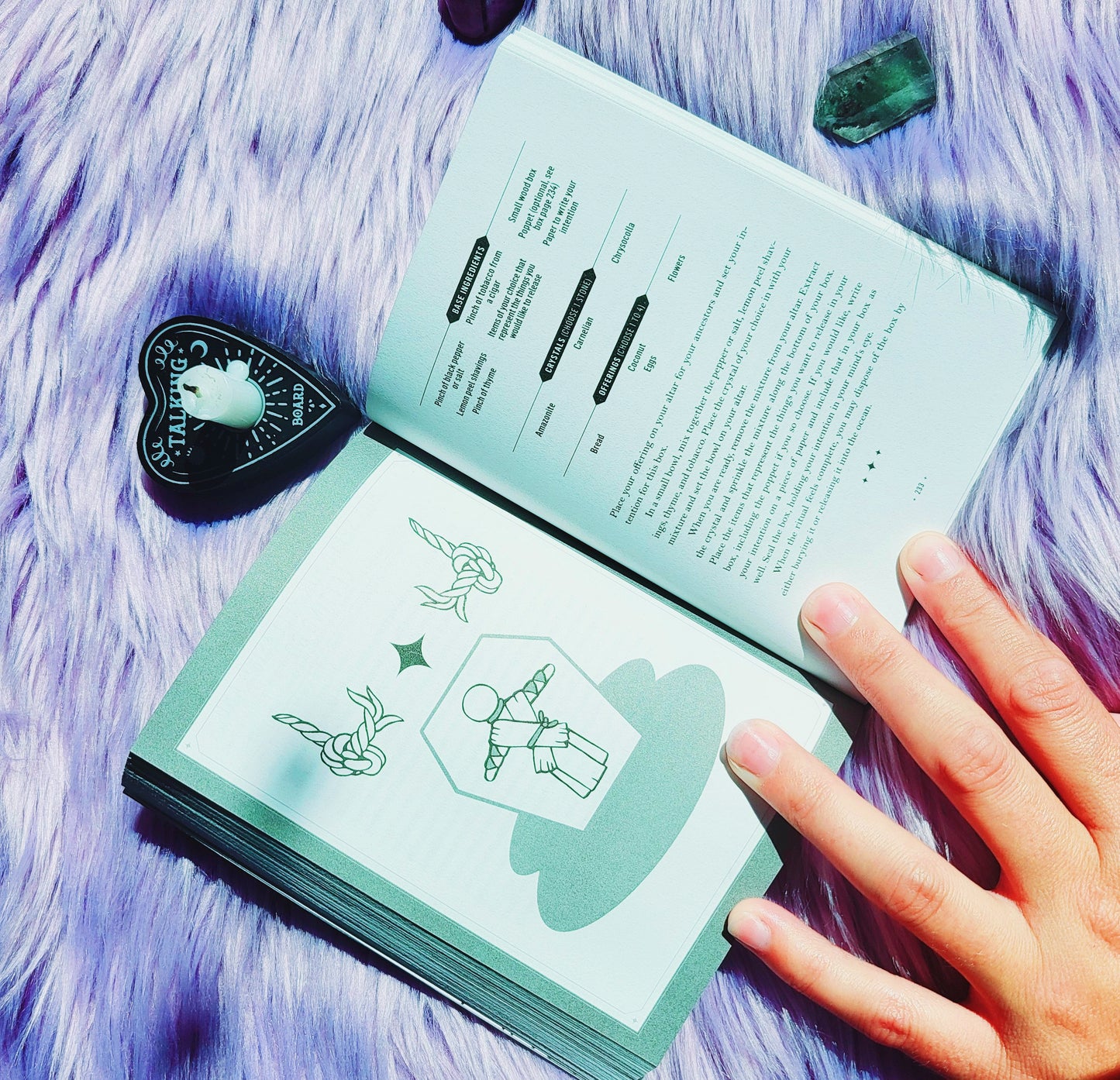LIVRE 'YOUR INTUITION LED YOU HERE'