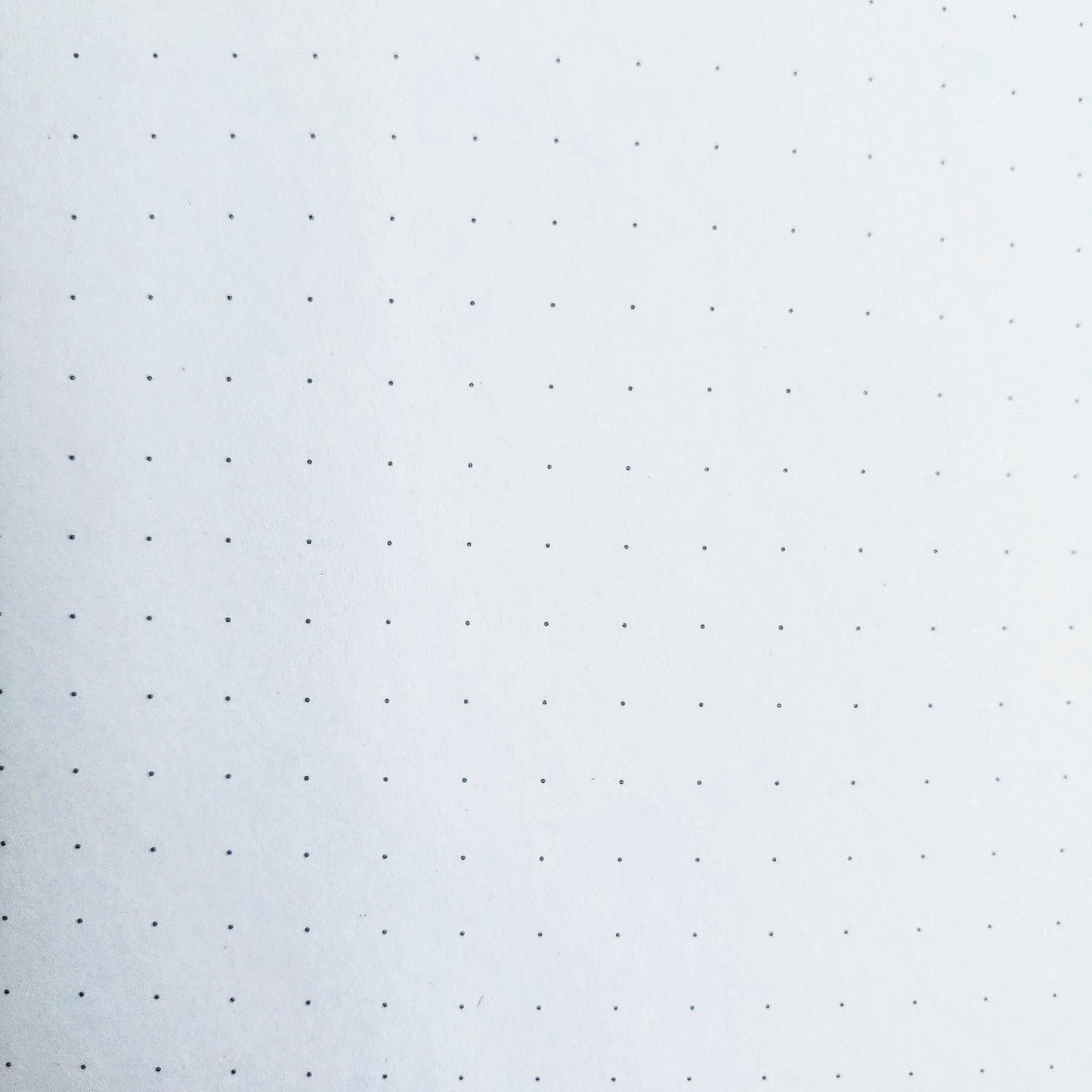 CAHIERS DE NOTES / JOURNALS