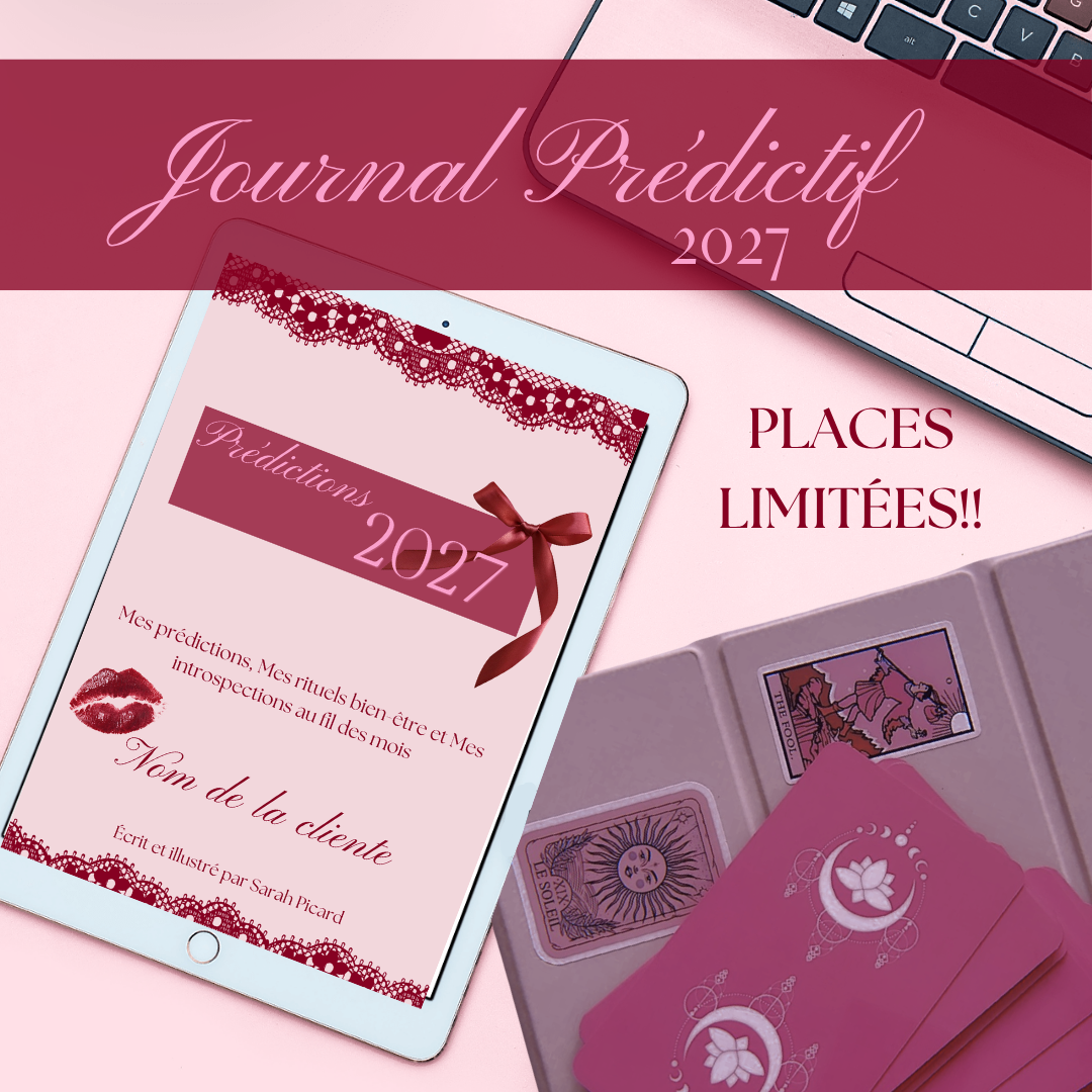 JOURNAL DES PRÉDICTIONS 2027