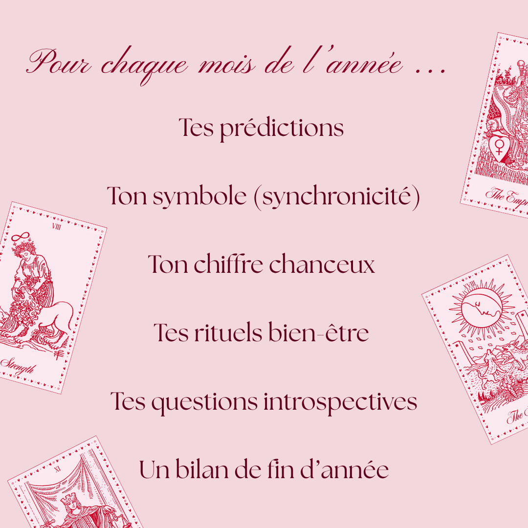 JOURNAL DES PRÉDICTIONS 2027