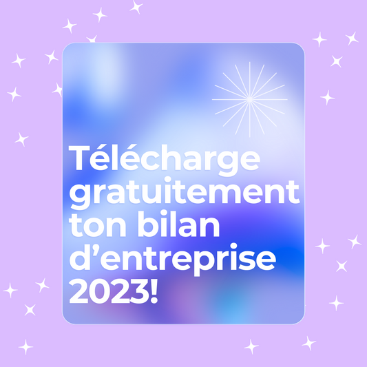 MON BILAN D'ENTREPRISE 2023
